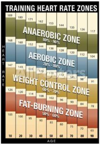 Exercise Heart Rate Chart For Weight Loss