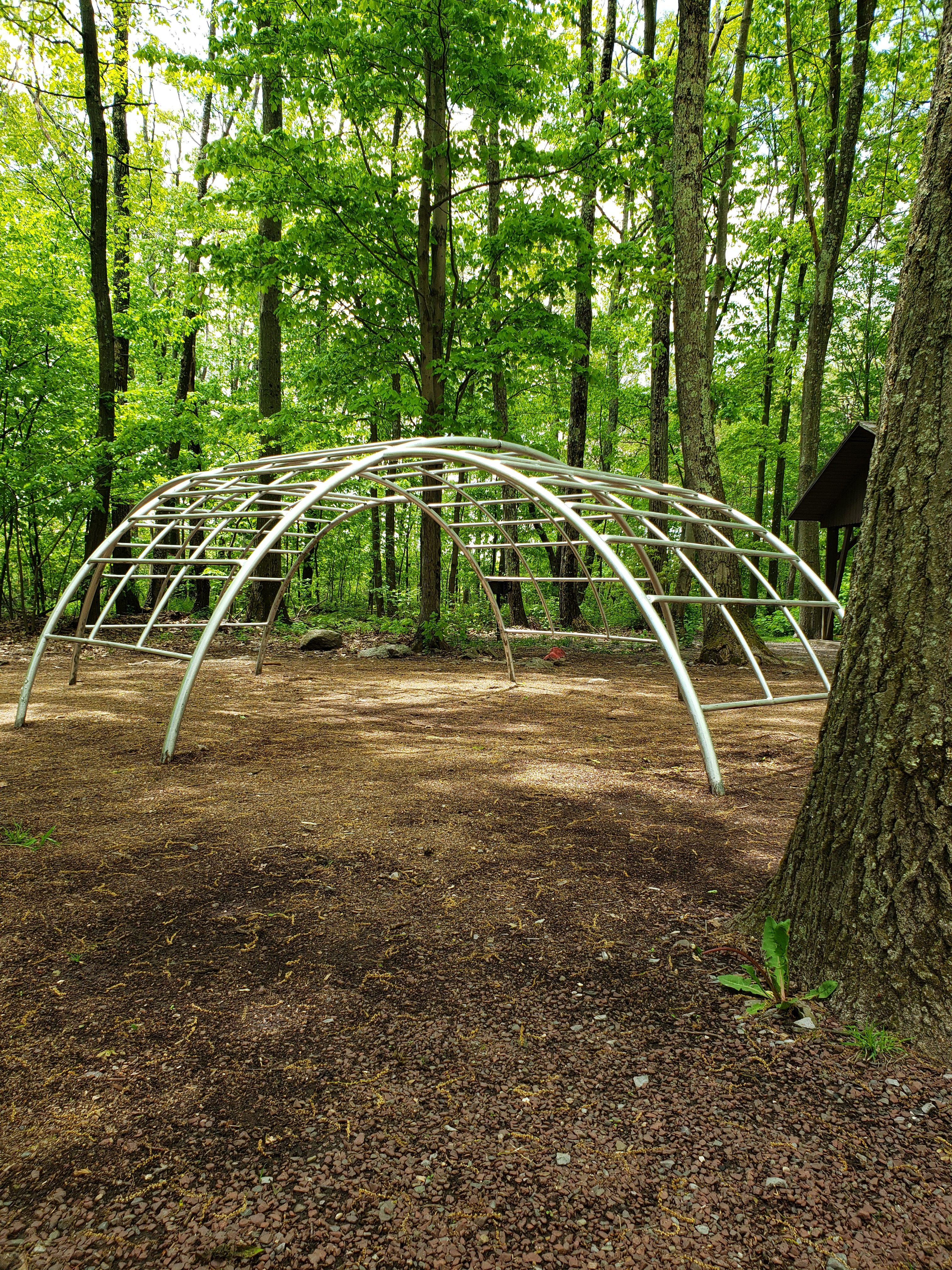 Welcome to the Jungle Gym