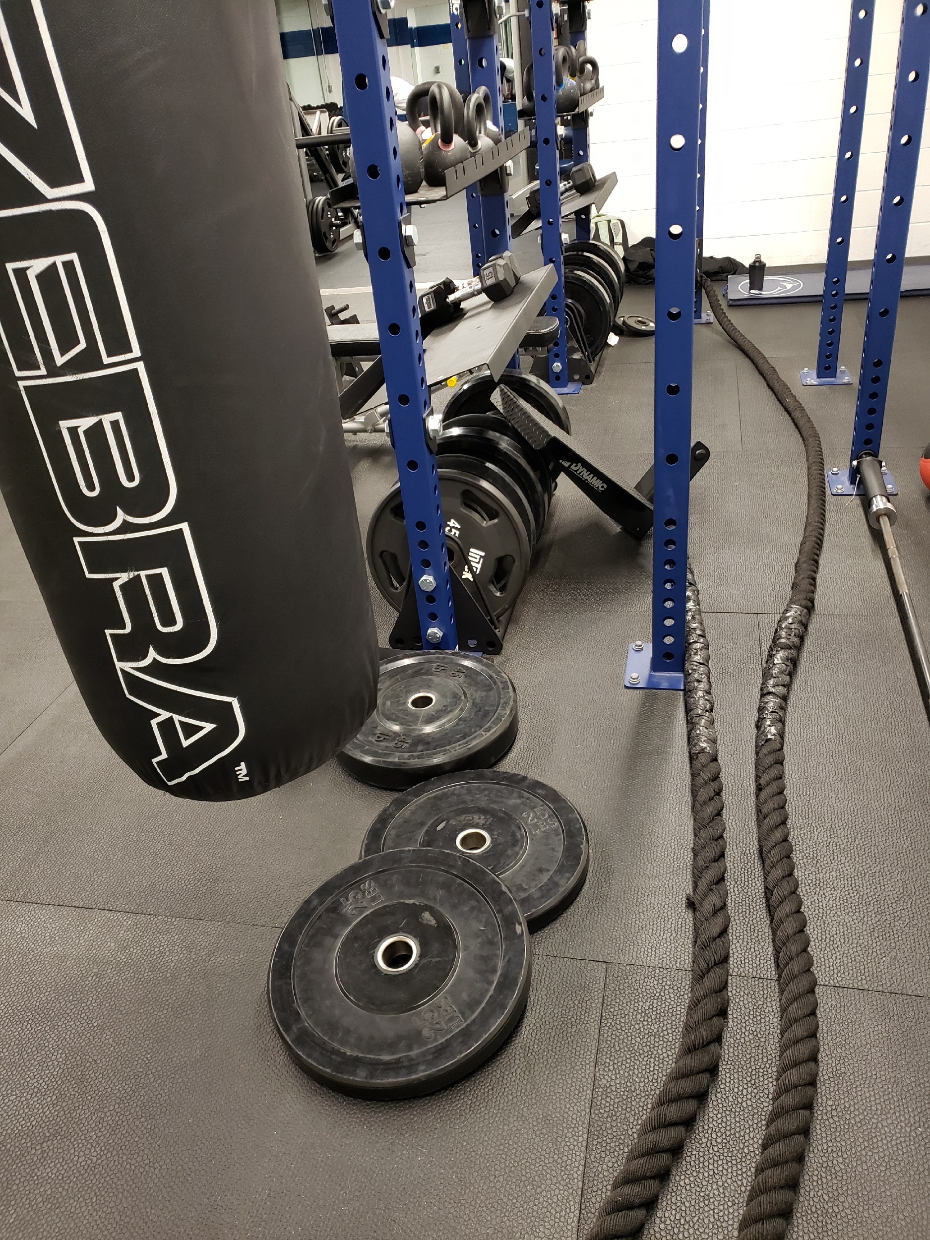 Should I Try Workout X?