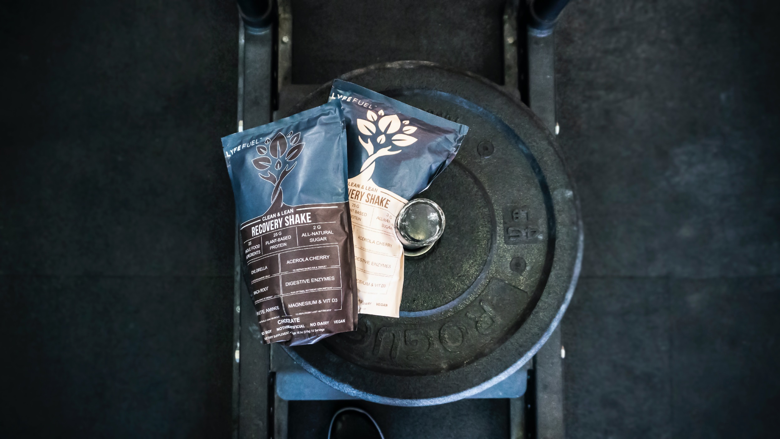 Types of Protein Supplements