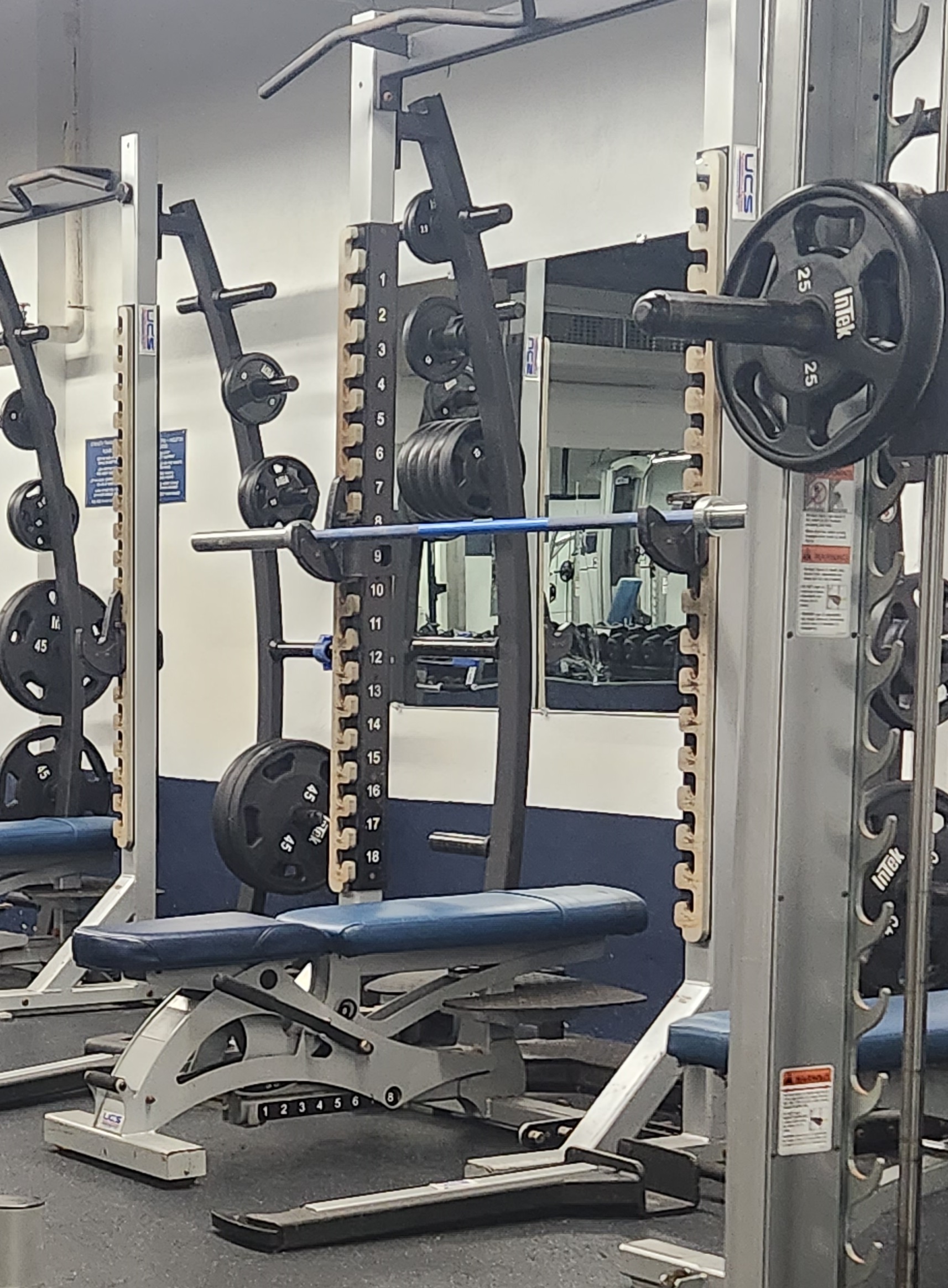 Exercise and Training