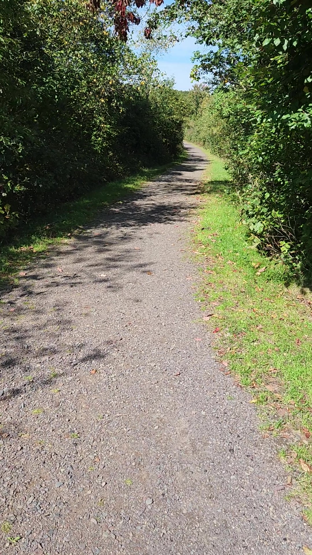 Value Add Part 1: Environmental Health