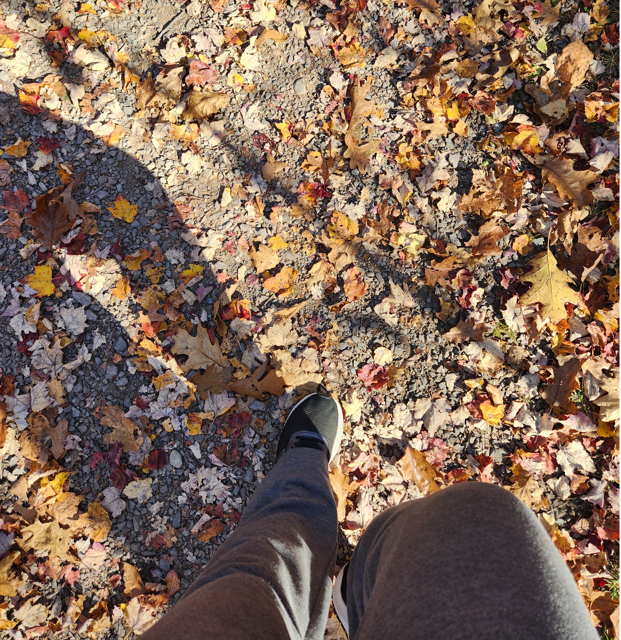 Movement as Gratitude